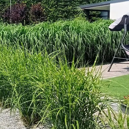 Lumax Apartmanhotel 4*